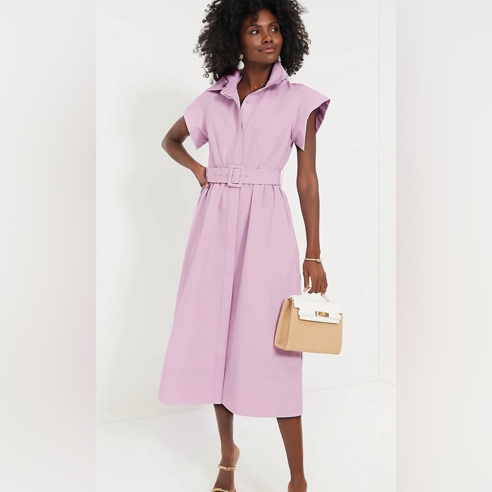 Tuckernuck Lilac Chloe dress a-line belted